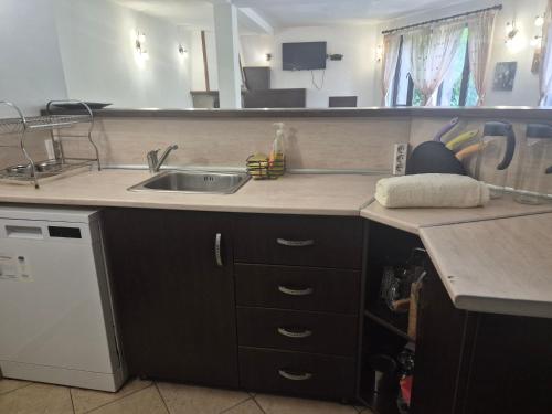 a kitchen with a sink and a counter top at Къща Цачеви 2 in Tryavna