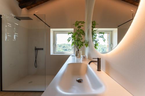 a bathroom with a sink and a shower at Dimora Riccio in Dalegna del Collio