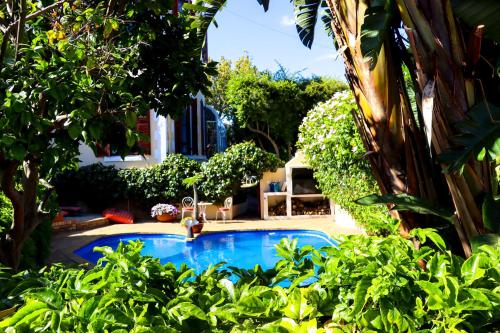 a swimming pool in a yard with plants at Carmichael House Boutique Hotel in Cape Town