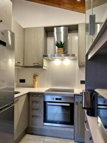 a kitchen with stainless steel appliances and a potted plant at Can Pont in Camprodon