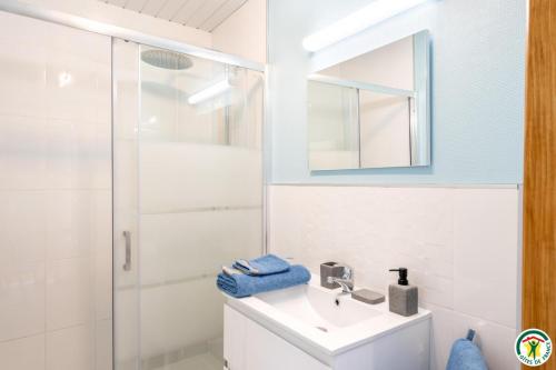 a bathroom with a sink and a shower at Le gite des ecuries de marquecy in Évricourt
