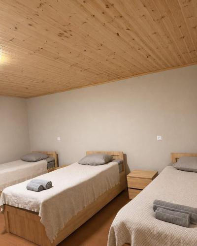 a bedroom with two beds and a wooden ceiling at Mtisani in Roshka