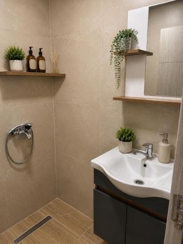 a bathroom with a sink and a shower at Apartments Marko in Ohrid