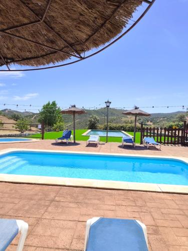 a large swimming pool with chairs and umbrellas at Finca Los Caleros in Juan Gallegos