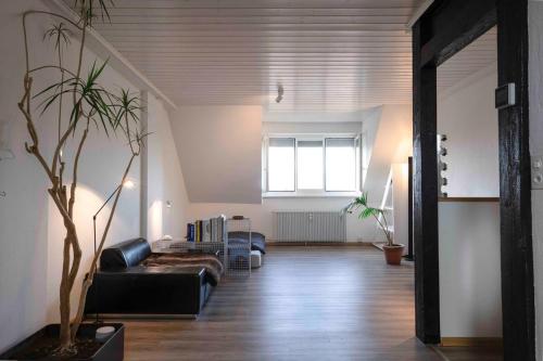 Loft Of an Architect