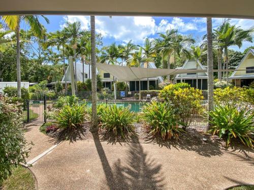 a house with a swimming pool and palm trees at Canopy Chalet 10 in Nelly Bay