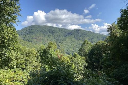 auliculiculiculiculiculiculiculiculiculiculiculiculiculiculic at Millstone Lodge Cabin in Bryson City