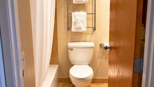 a bathroom with a toilet and a shower curtain at Hawaiian Princess Beachfront 1BR in Waianae