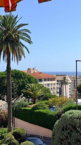ACCI Cannes Les Yuccas photo 20