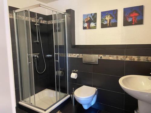 a bathroom with a shower and a toilet and a sink at Ferienwohnung Haus Hahnfelsblick in Erfweiler