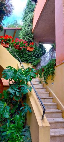 Elisa e Carla House Beautiful apartments on the Cassia
