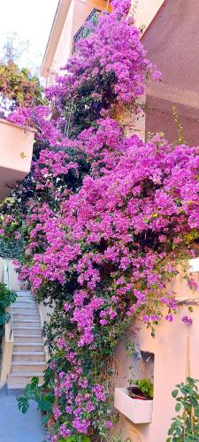 Elisa e Carla House Beautiful apartments on the Cassia