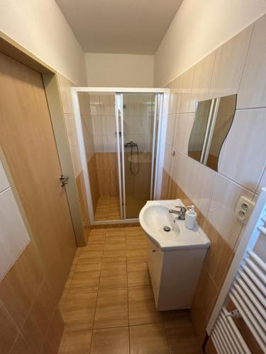 a small bathroom with a sink and a shower at Penzion U Bártů, Dešov in Desov