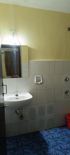 a bathroom with a sink and a mirror at Bluemoon Hotel in Cochin