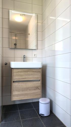 a bathroom with a sink and a mirror at Villapark Wulpdal | Villa De Wulp in Scherpenisse