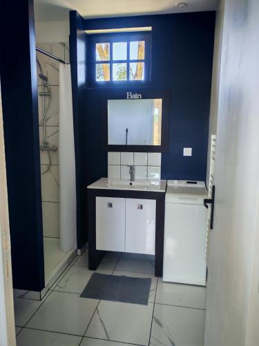 a bathroom with a sink and a blue wall at Studio indépendant tout équipé proche circuit des 24 Heures in Teloché