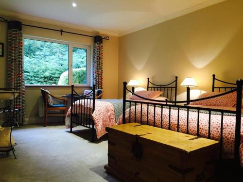 a bedroom with two beds and a window at Applecroft House in Killarney