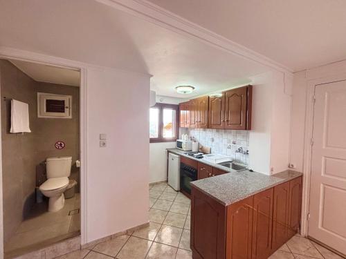 a small kitchen with a toilet and a sink at Ocean Peak Villa in Kalymnos