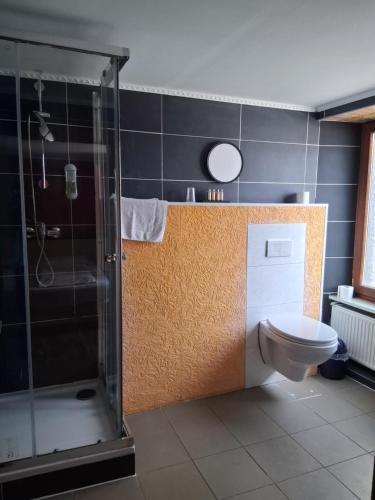 a bathroom with a shower and a toilet at Hotel Mosel Star in Bernkastel-Kues