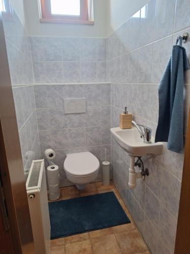 a bathroom with a toilet and a sink at PoBytPodivín in Podivín