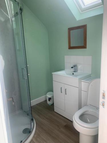 a bathroom with a shower and a toilet and a sink at Greenkeepers Rest in Longniddry