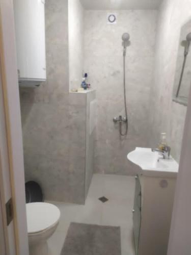 a small bathroom with a toilet and a sink at Апартамент Централ in Targovishte