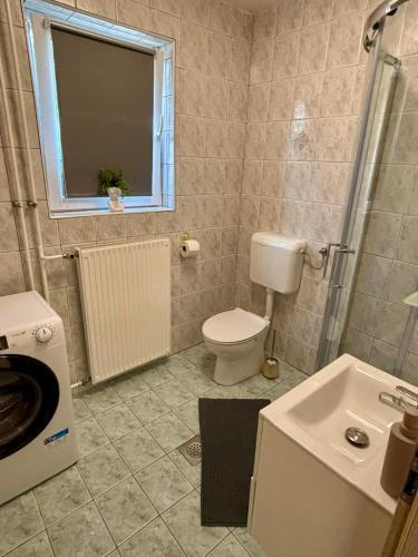 a bathroom with a toilet and a sink at Studio Babji zob in Bohinjska Bela
