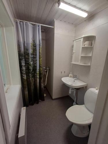 a bathroom with a toilet and a sink and a shower at Bo bra i Borgholm in Borgholm