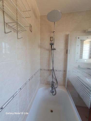 a bath tub with a shower in a bathroom at Montgrailloux - Chambilly in Chambilly