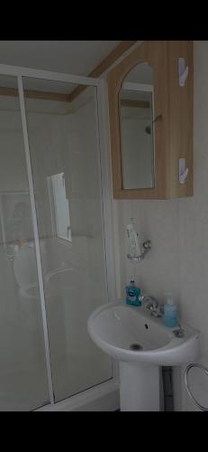 a bathroom with a white sink and a shower at The Joanack Breeze in Withernsea