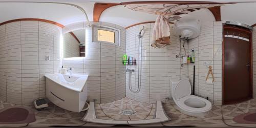 a bathroom with a toilet and a sink at Vila Hedona in Donji Milanovac