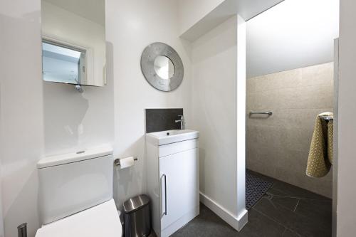 a bathroom with a toilet and a sink and a mirror at Forest View in Brockenhurst