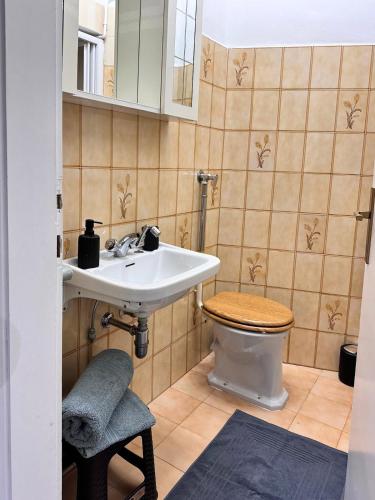 a bathroom with a sink and a toilet at Casa Christa in Castello di Fiemme