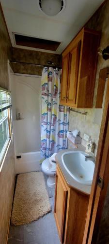a small bathroom with a sink and a toilet at Le Refuge du Navigateur in Tadoussac