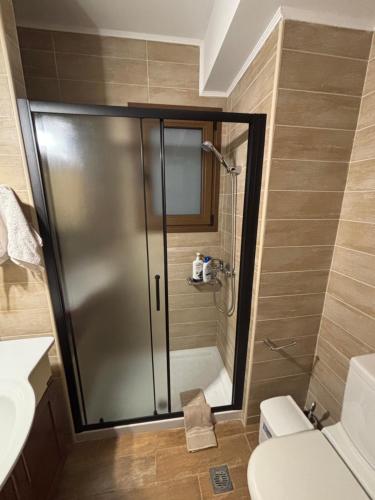 a shower with a glass door in a bathroom at Psichro Apartments Zeus in Magoulás