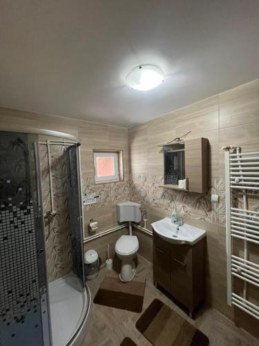 a bathroom with a toilet and a shower and a sink at Cabana Adelin in Dobreşti
