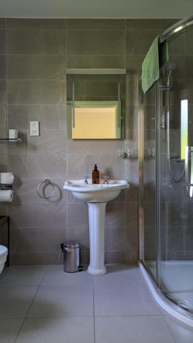 a bathroom with a sink and a shower at Applecroft House in Killarney