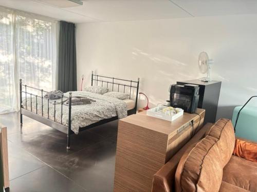 ein Schlafzimmer mit Bett, Fernseher und Sofa in der Unterkunft Aikje in Nazareth