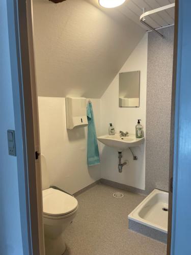 a bathroom with a toilet and a sink at Hellesbnb in Rømø