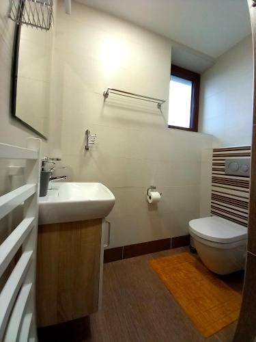 a bathroom with a sink and a toilet at U Belianky in Terchová