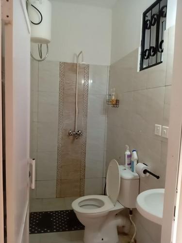 a bathroom with a toilet and a shower and a sink at MERED Haven Studio in Kilifi