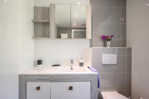 a bathroom with a sink and a mirror at Gite Les Jonquilles in Mittlach