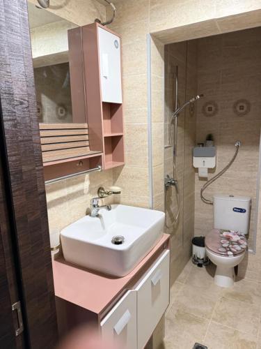 a bathroom with a sink and a toilet at Етаж от къща в Разград in Razgrad