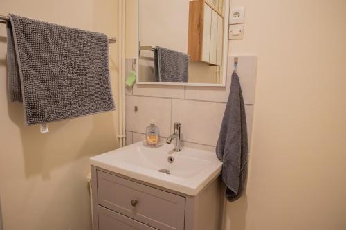 a bathroom with a sink and a mirror at Clos Sainte Anne avec piscine in Cour-Cheverny
