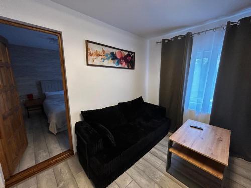 ein Wohnzimmer mit schwarzem Sofa und einem Tisch in der Unterkunft Apart Robert 2 in Bicaz
