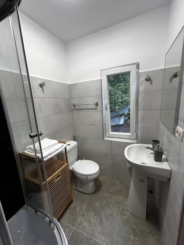 ein Badezimmer mit Toilette und Waschbecken in der Unterkunft Apart Robert 2 in Bicaz