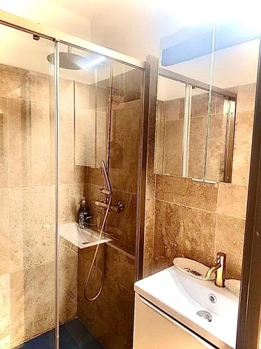 a bathroom with a shower and a sink at Entre Pic et Rivière in Saint-Martin-de-Londres