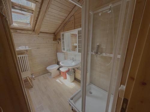 a bathroom with a shower and a toilet and a sink at Rifugio Plan Boè in Livinallongo del Col di Lana