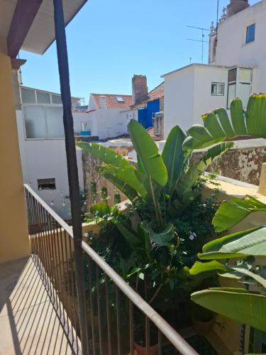 FONTE NOVA Setubal