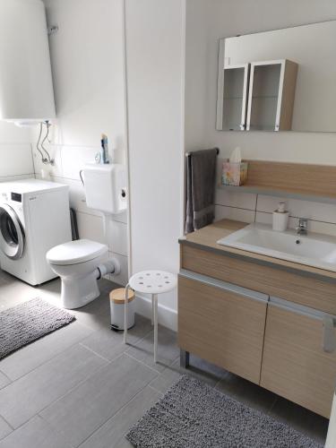 a bathroom with a toilet and a sink in it at Dömper Döme Apartman 1E in Balatonlelle